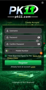 PK11 Game APK Download New Earning App In Pakistan 3