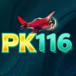 PK116 Game Download Best And Fast Winning App In Pakistan 4 PK116 Game