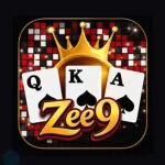 ZEE9 Game Download The Latest Earning Platform In Pakistan 9 ZEE9 Game